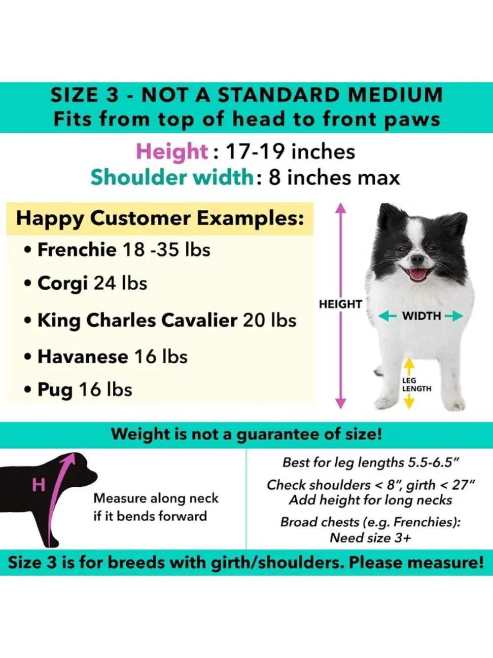 Funny Panda Dog Halloween Costume for Small & Medium Pets - Unique Design, Size